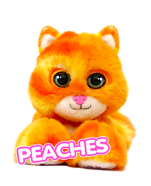 Peaches Cat